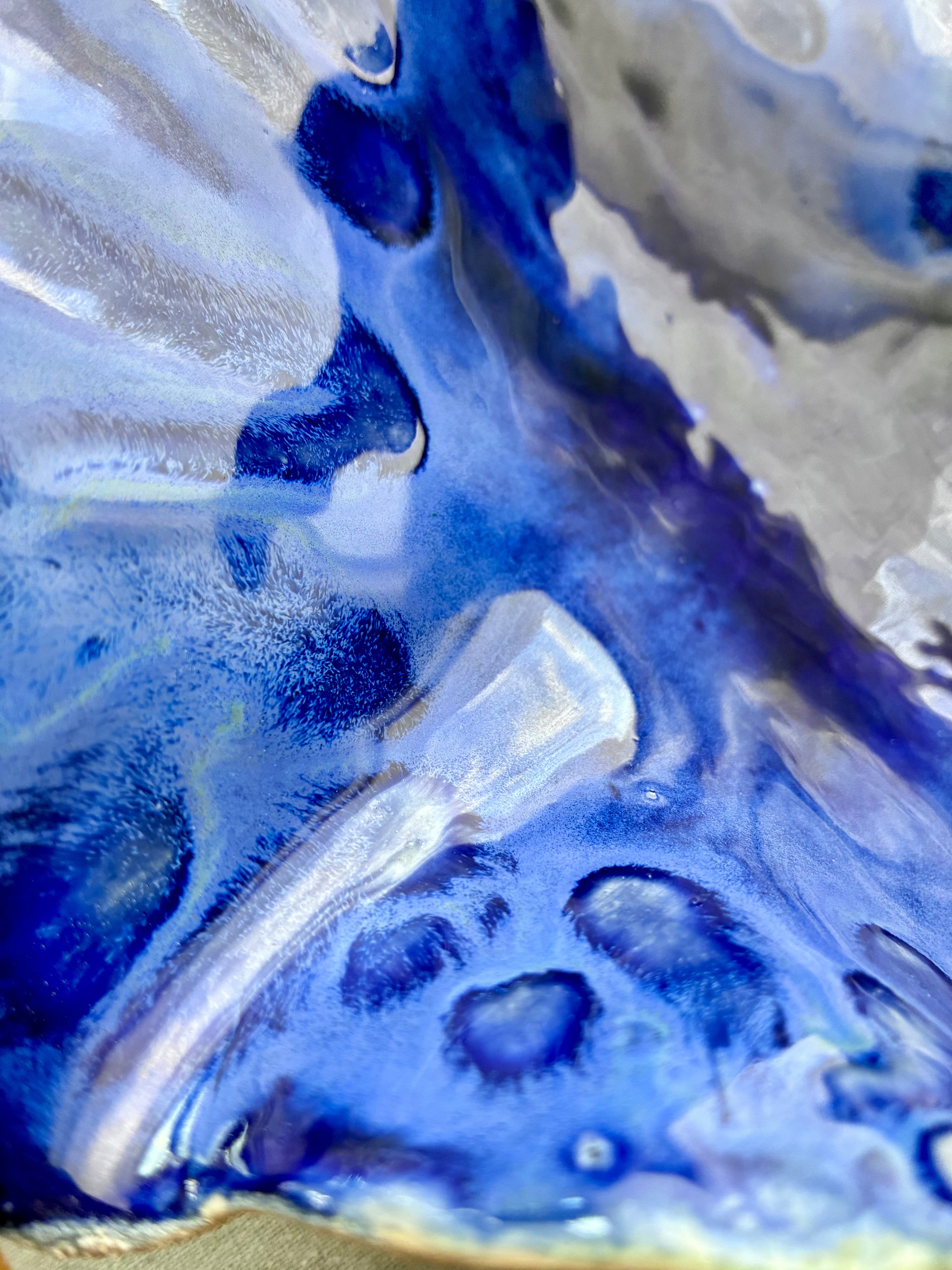 Tidepool Reverie