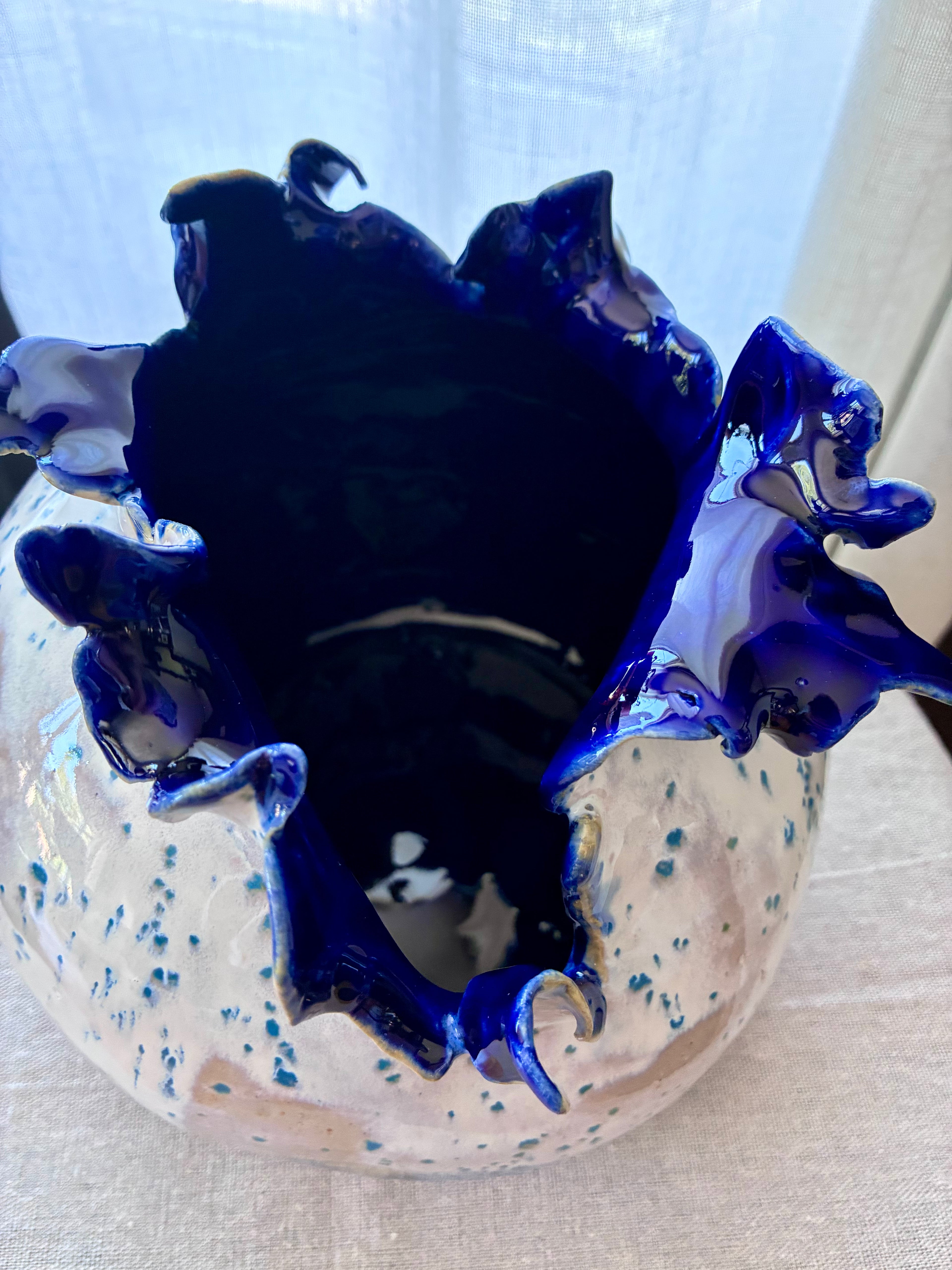 Bathyal Bloom – Coastal Study I