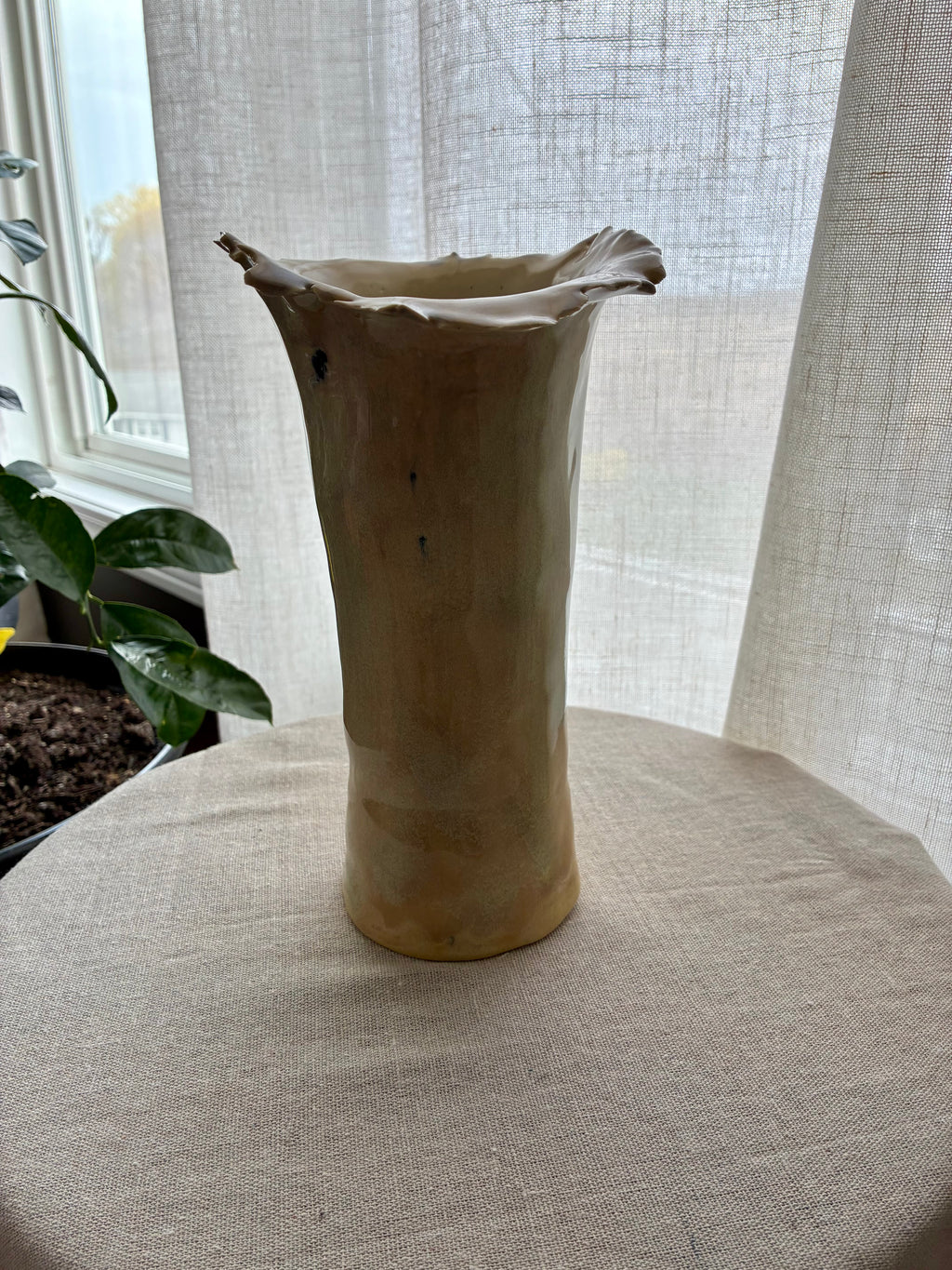 Gold Moss — Kiln Kissed Flecks
