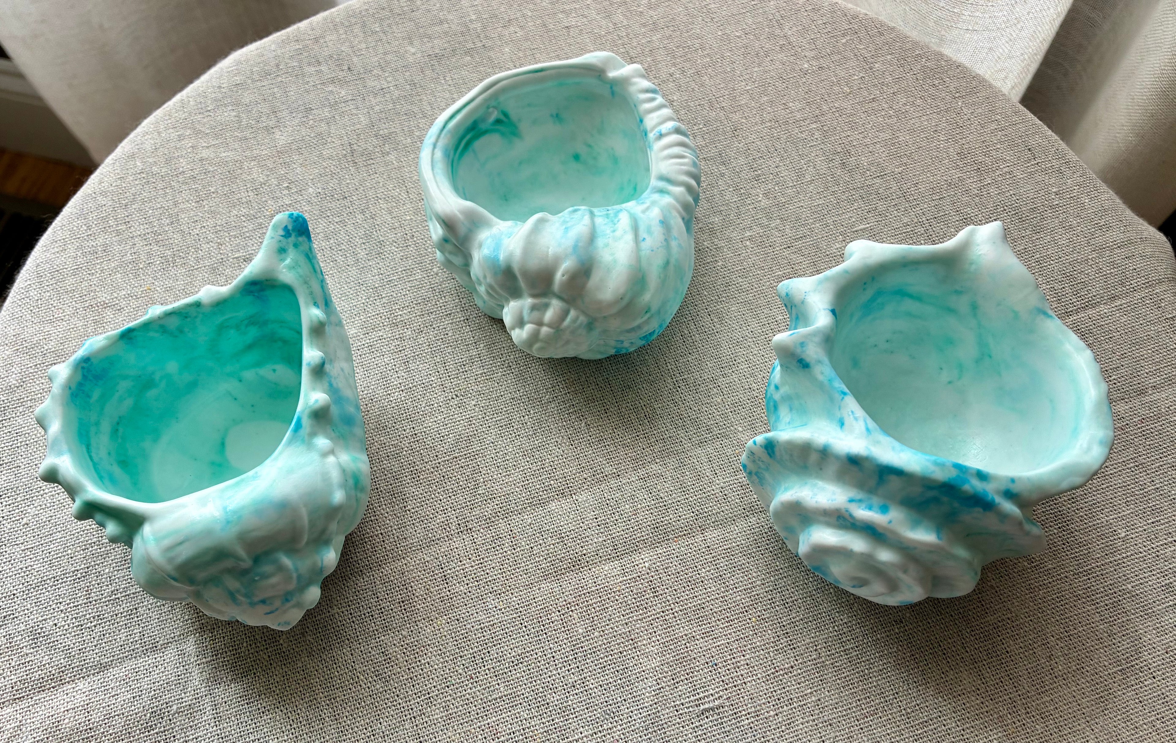 Seafoam Shell Studies – Coastal Catchall Collection