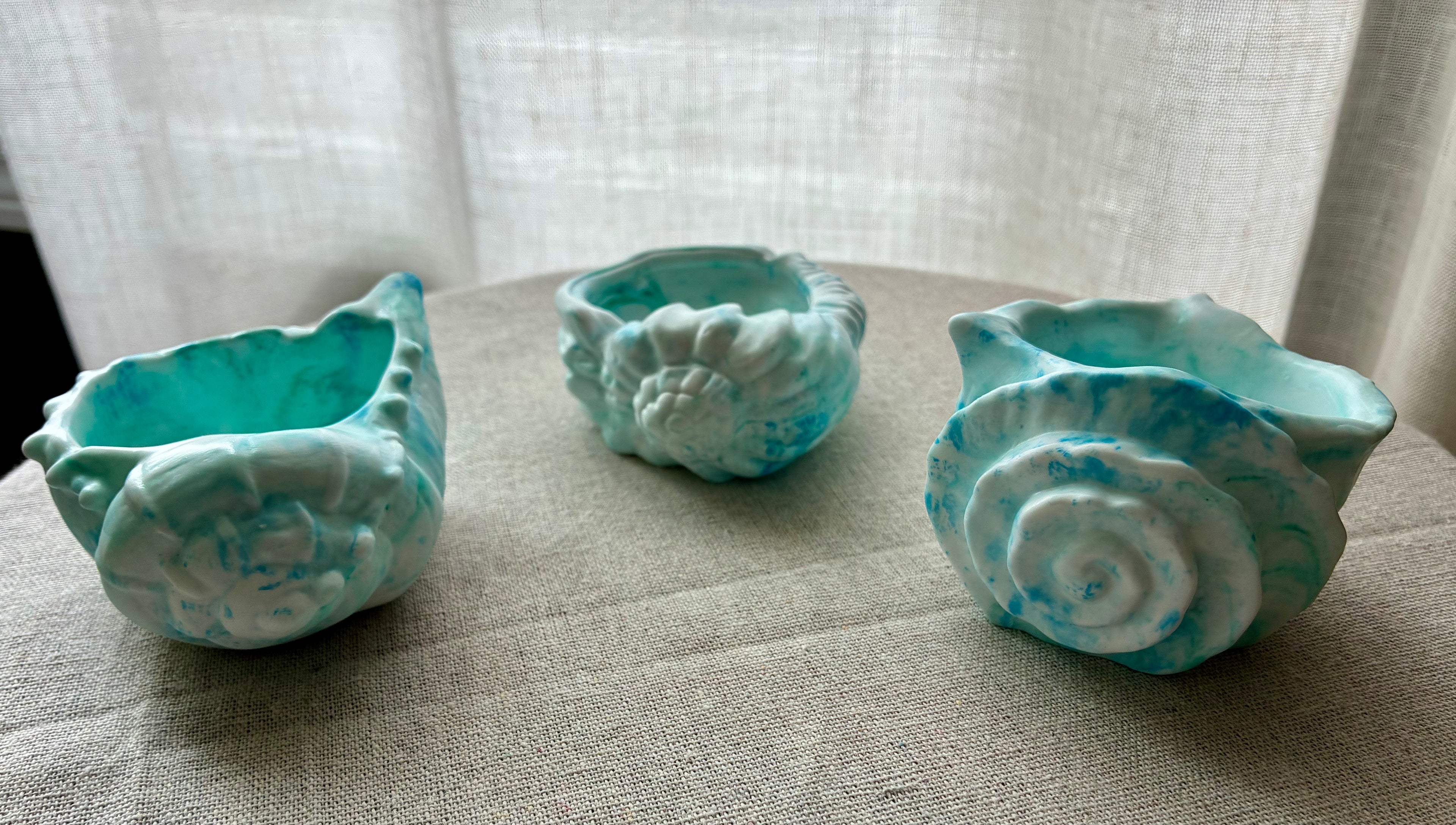 Seafoam Shell Studies – Coastal Catchall Collection