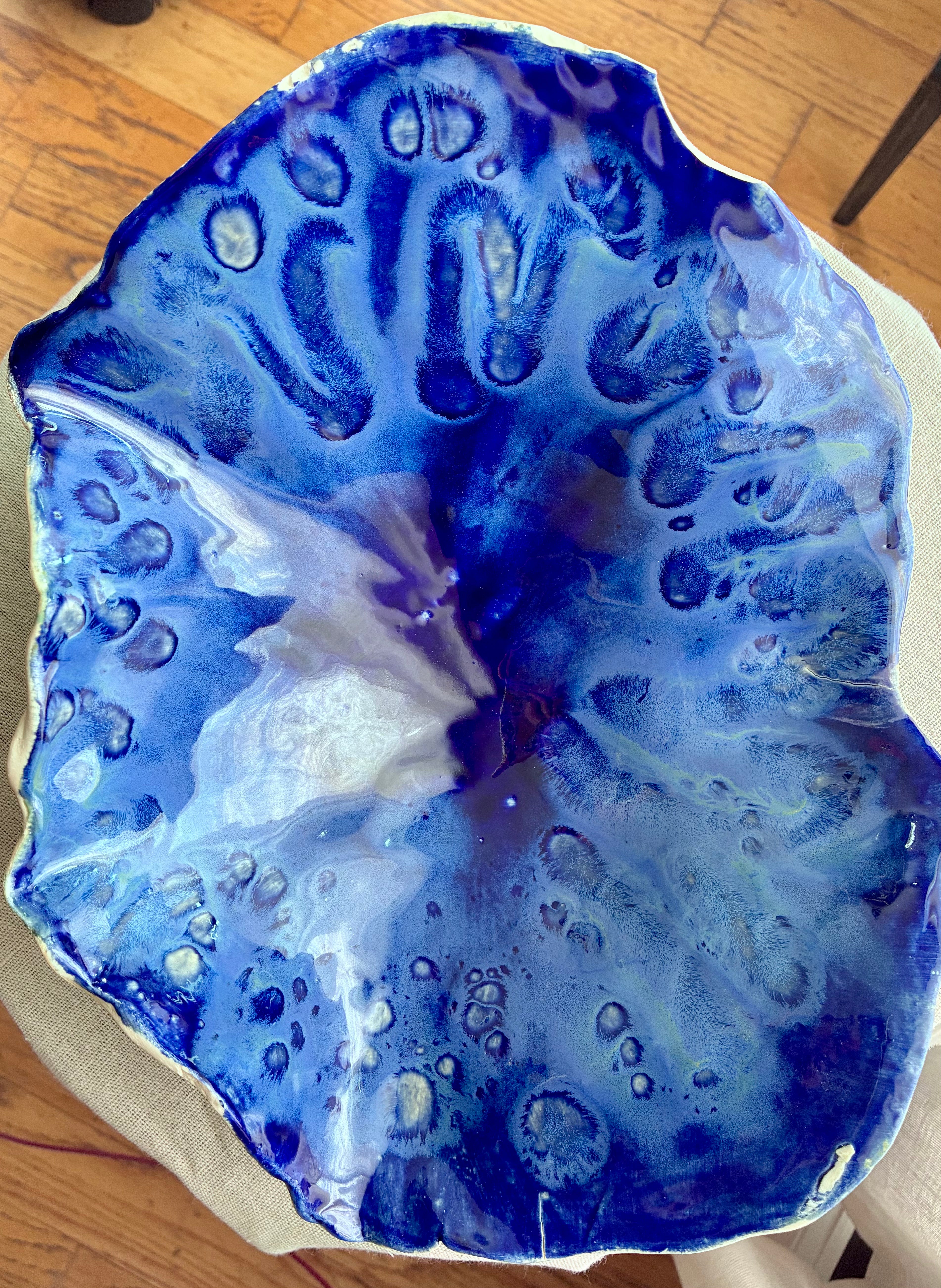 Tidepool Reverie