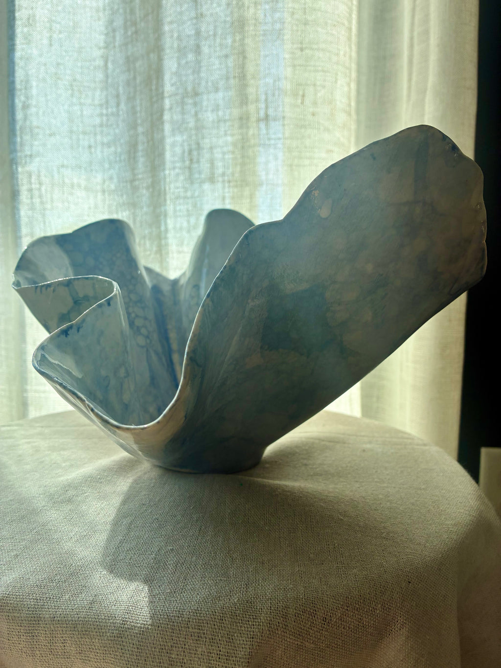 Pelagia – Coastal Study I