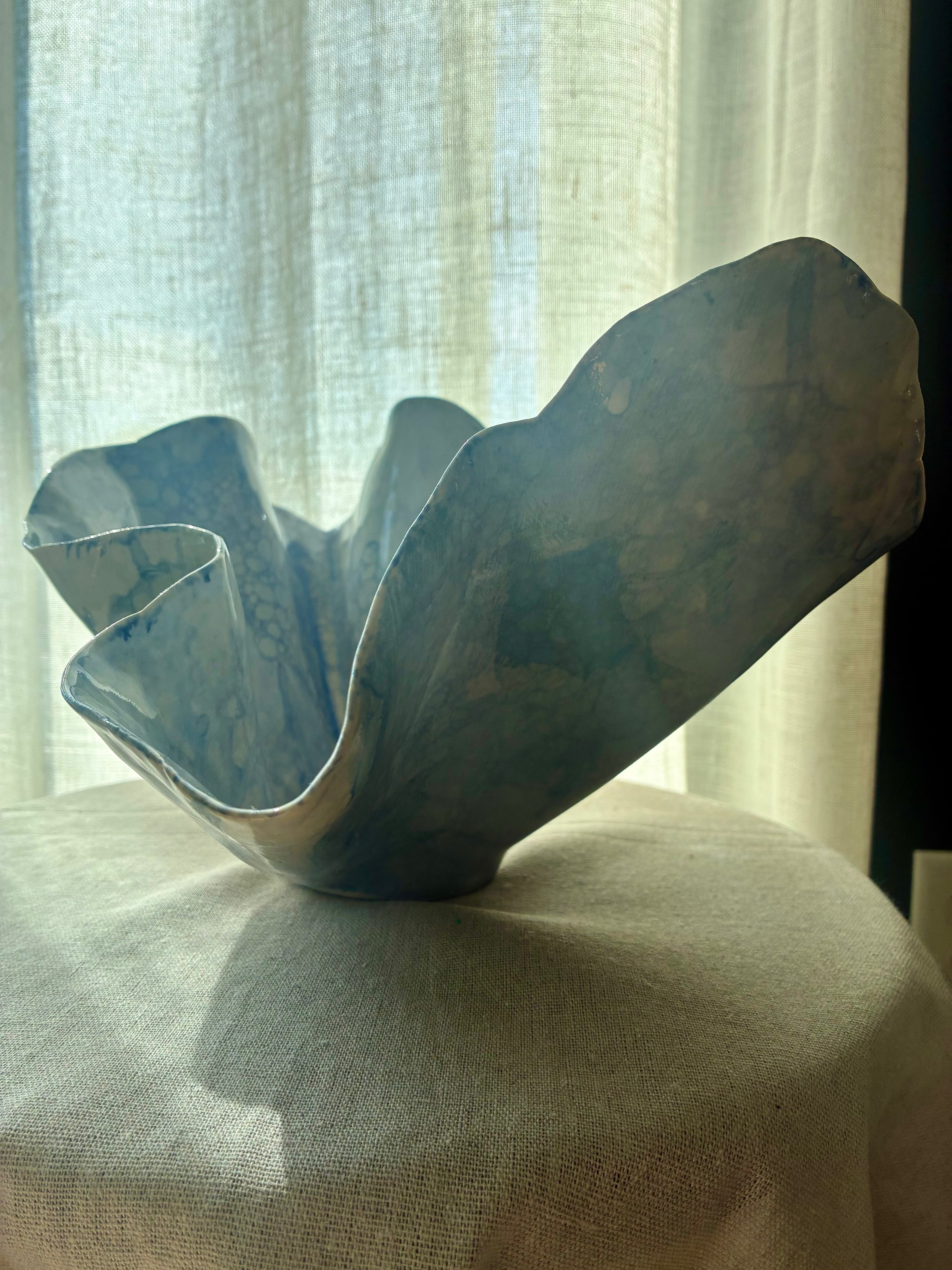 Pelagia – Coastal Study I