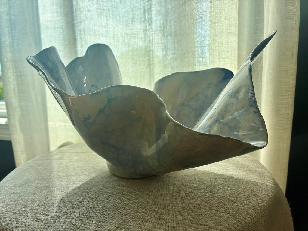 Pelagia – Coastal Study I