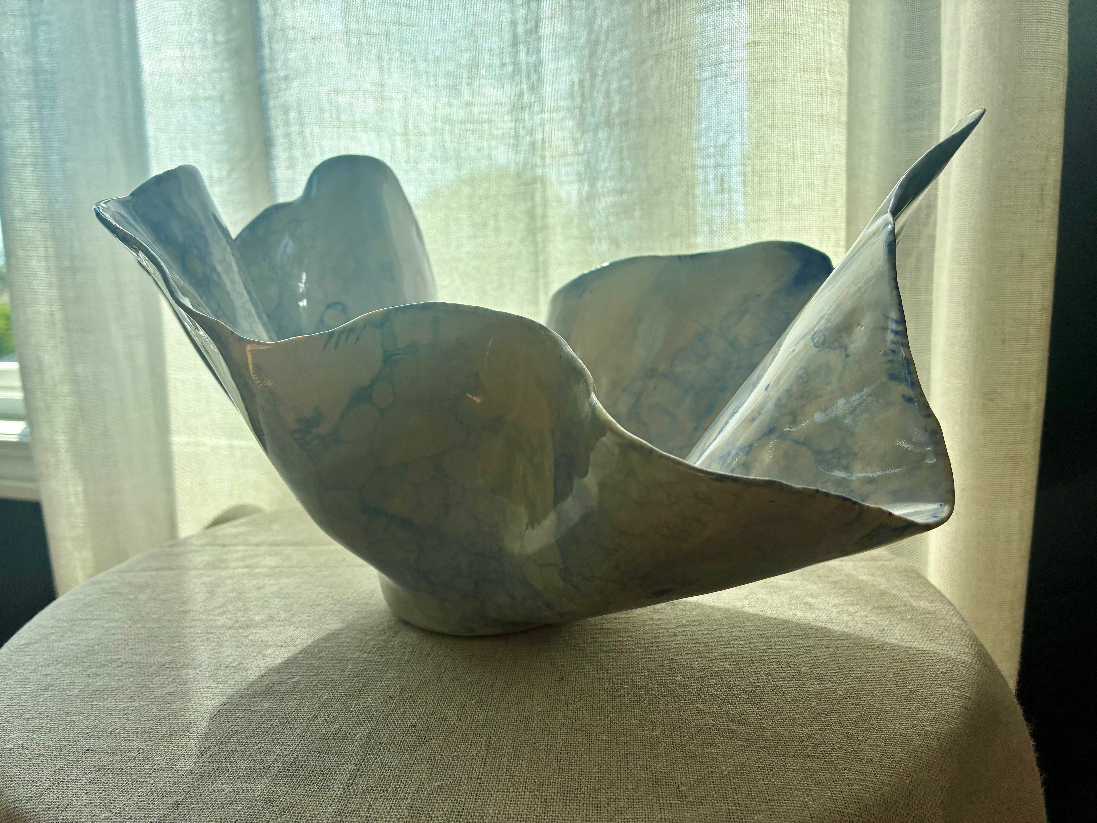 Pelagia – Coastal Study I