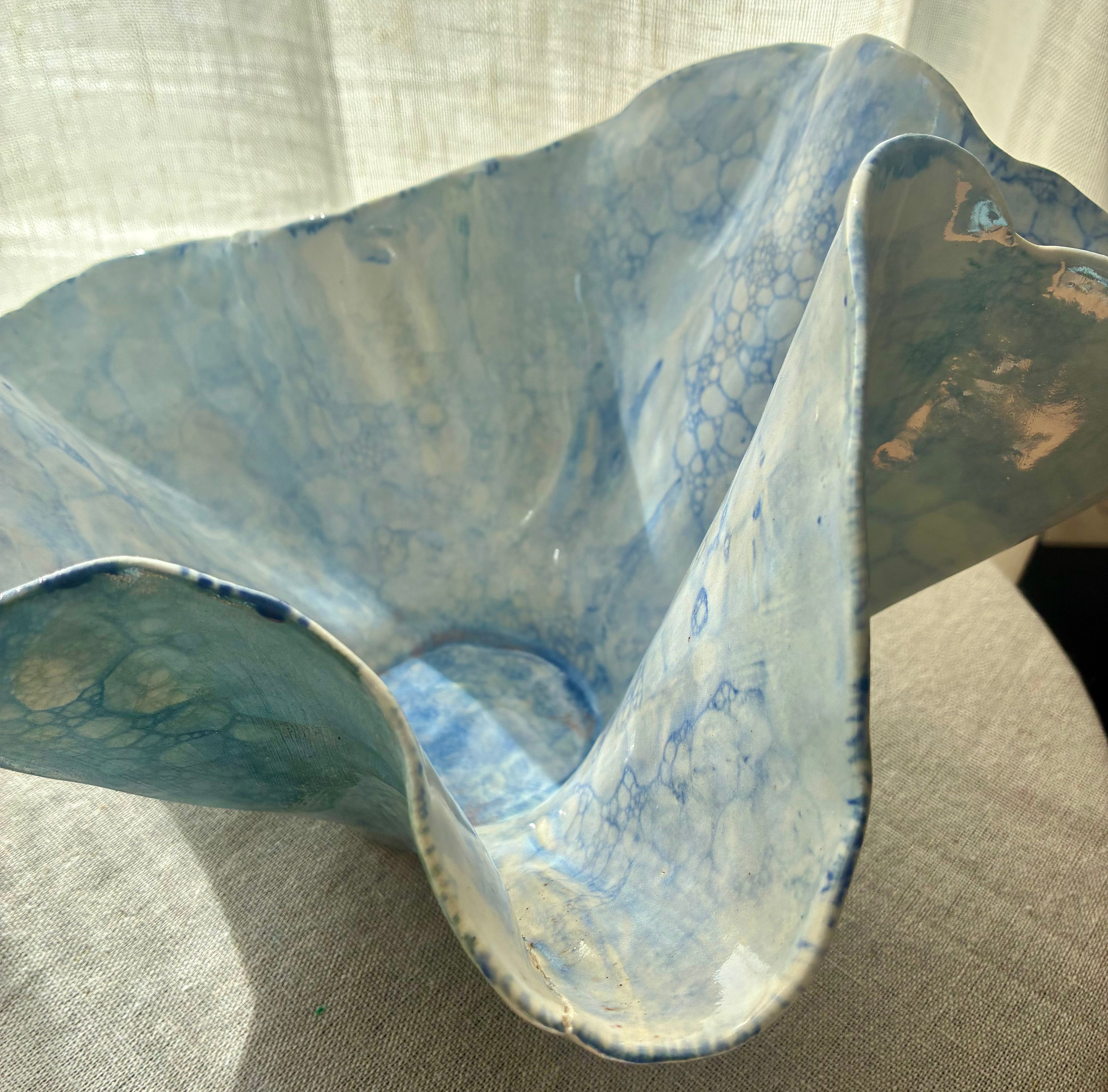 Pelagia – Coastal Study I