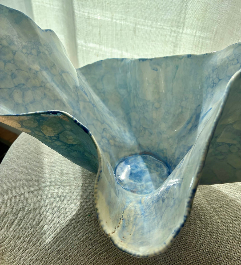 Pelagia – Coastal Study I