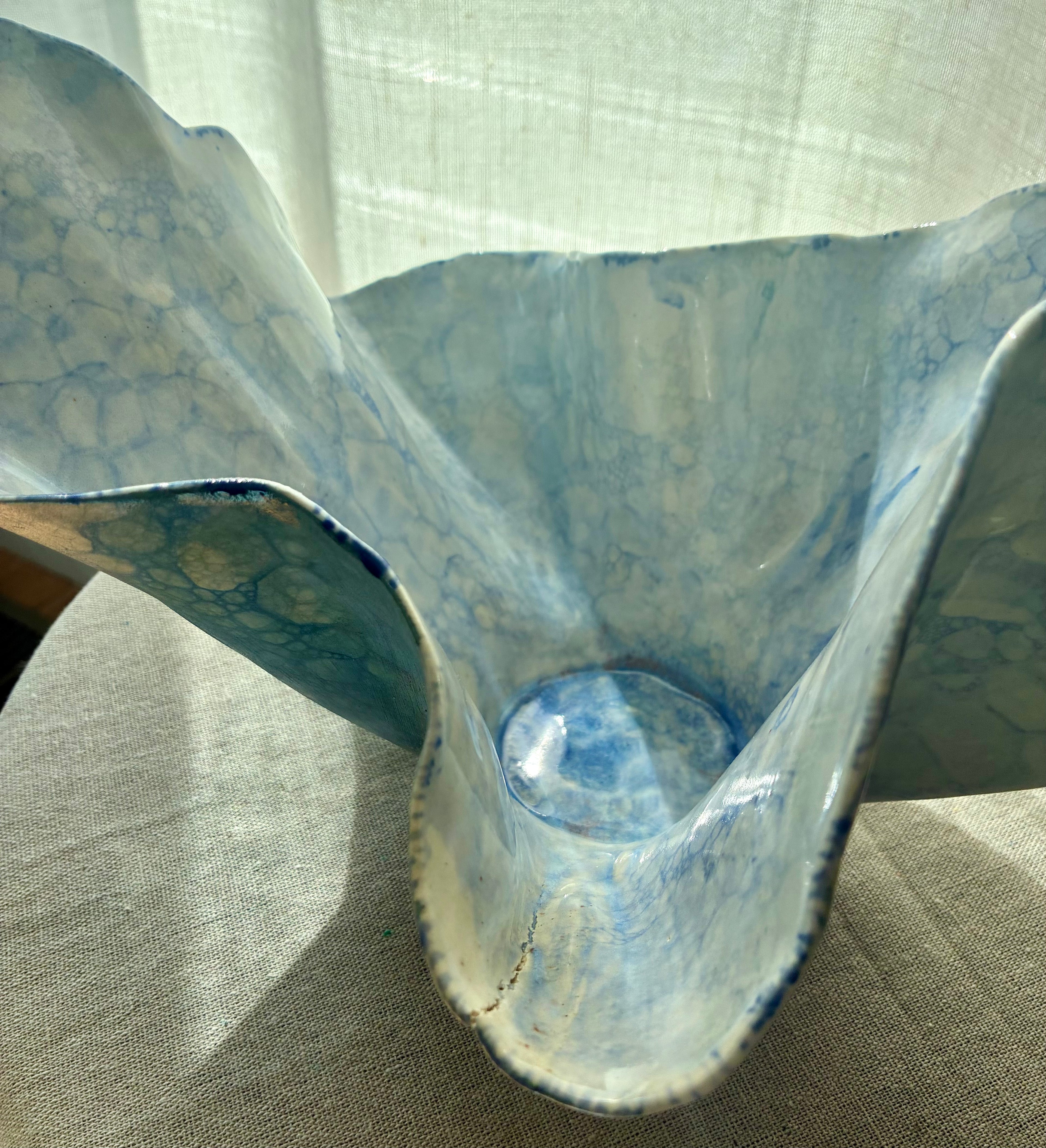 Pelagia – Coastal Study I