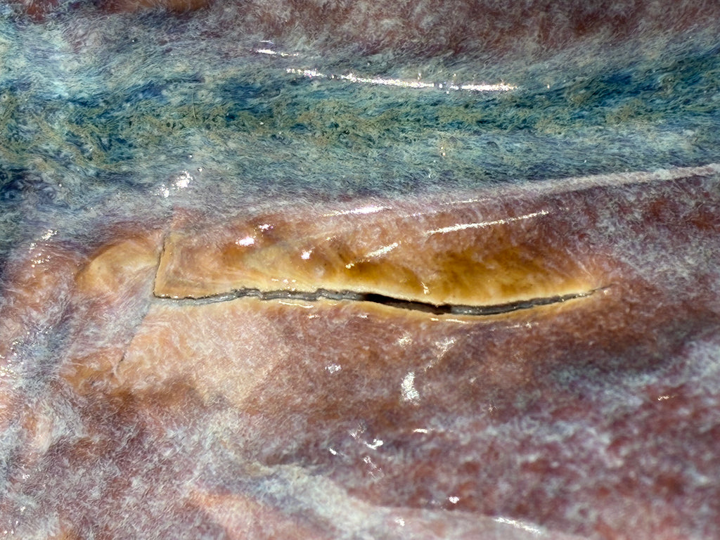 Ebb Form