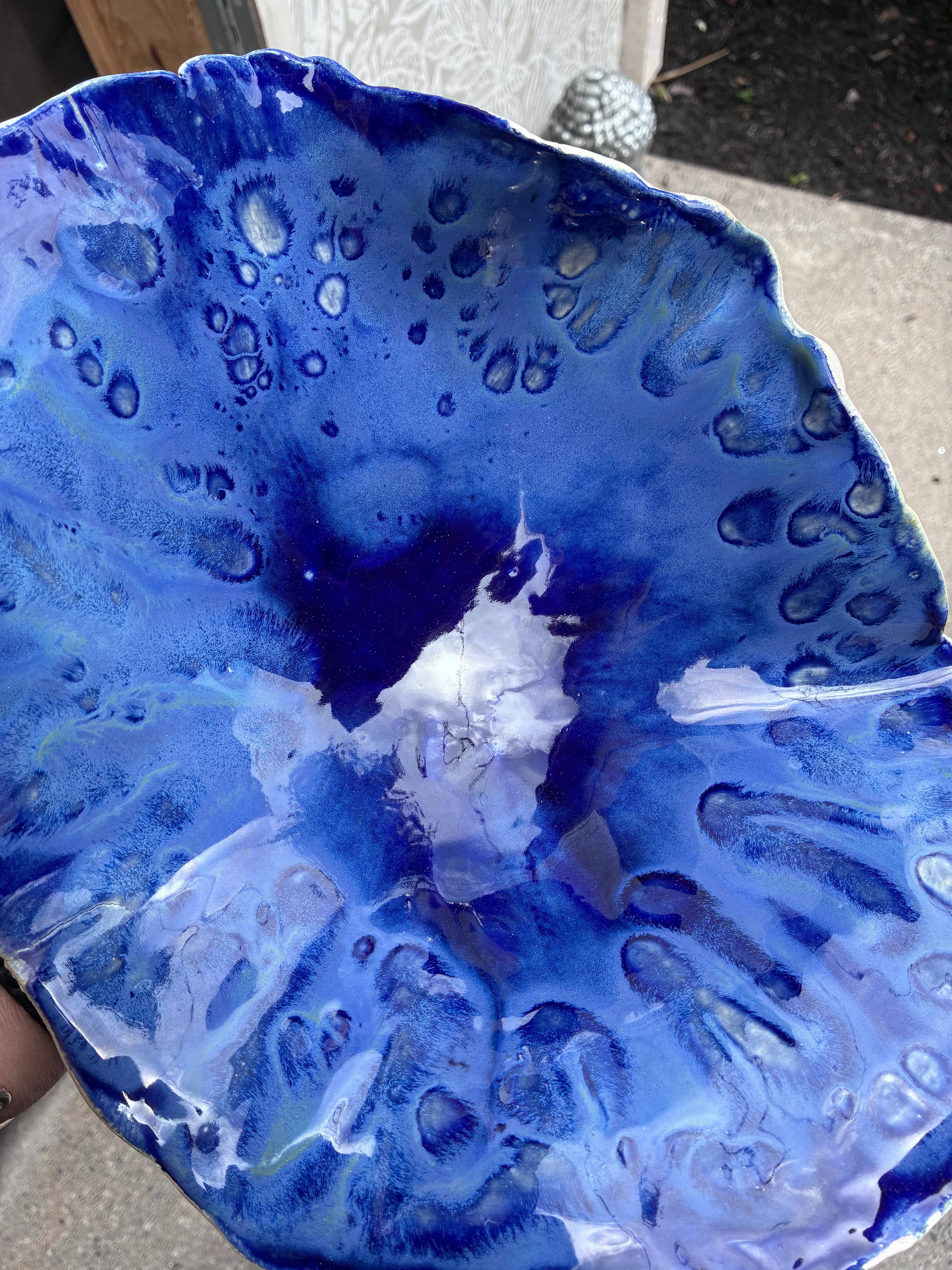 Tidepool Reverie