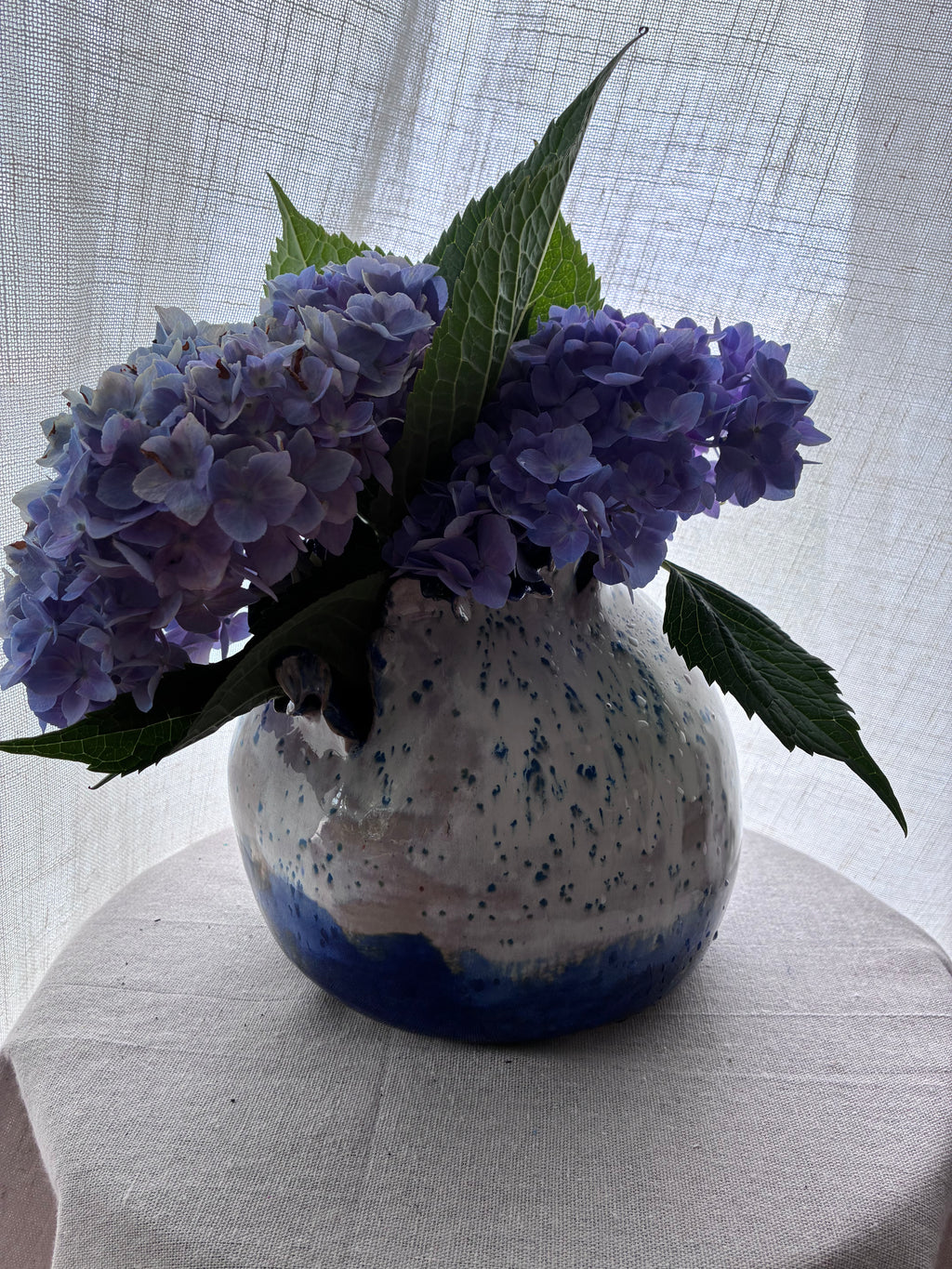 Bathyal Bloom – Coastal Study I